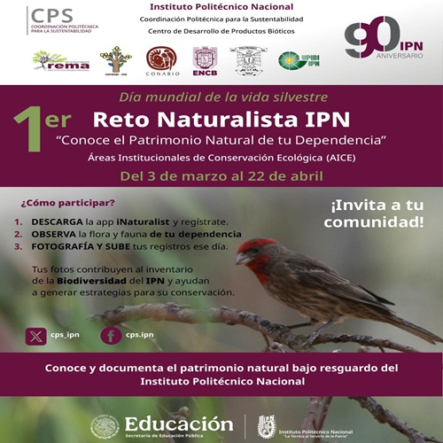 1er reto naturalista